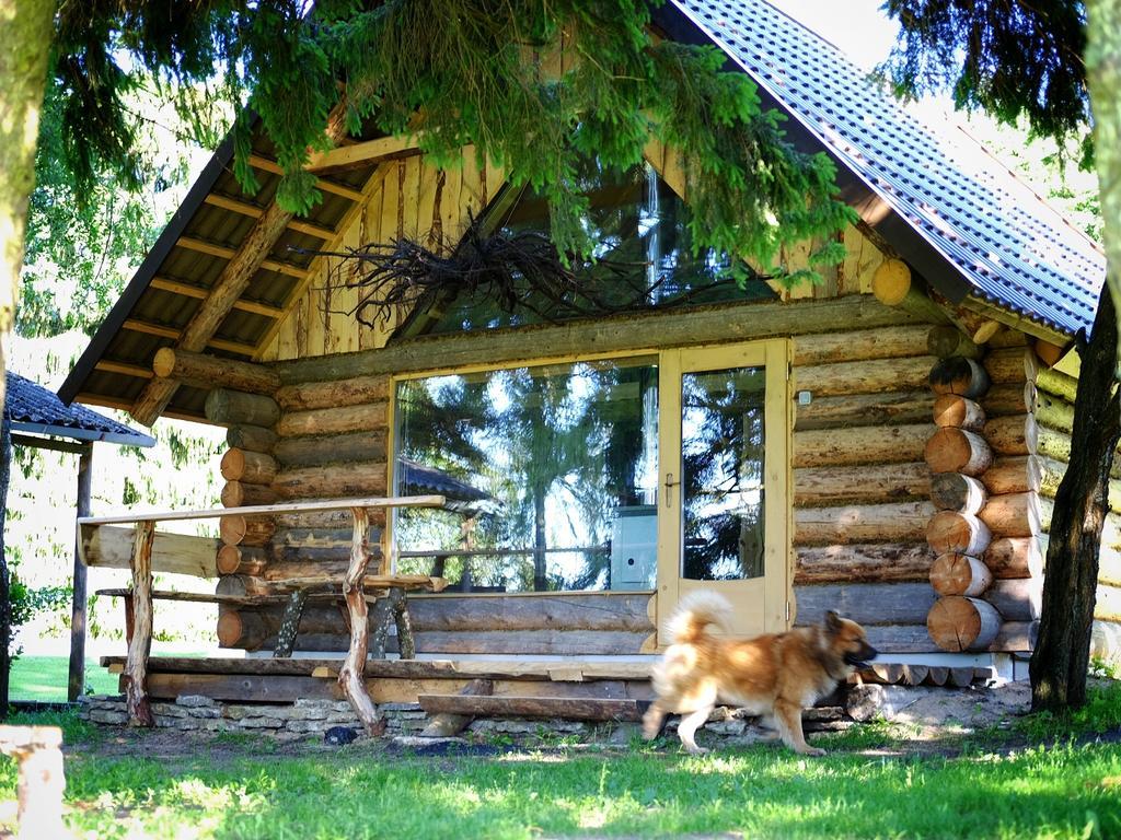 Hiie Talu Pension Kahala Buitenkant foto